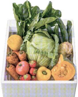 沢山の野菜