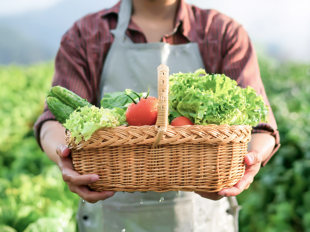 野菜を持つの人